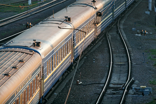 В купе поезда Новороссийск — Москва пассажиры избили пятилетнюю девочку