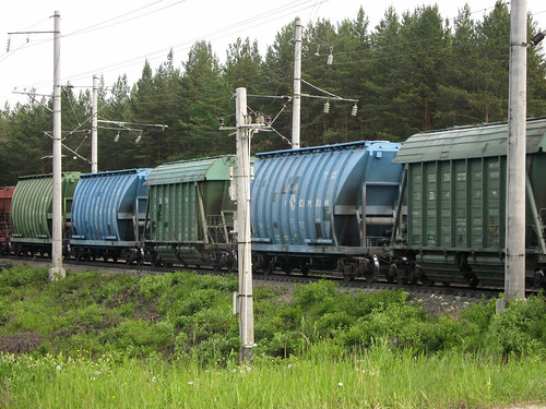 Два человека погибли под колесами поезда на перегоне Щербинка-Силикатная