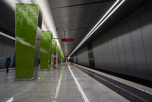 Движение поездов между станциями метро «Шелепиха» и «Раменки» временно приостановят 25 августа