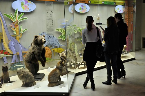 Дарвиновский музей будет работать без выходных во время школьных каникул